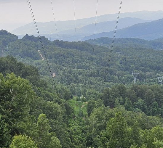 WhatsApp Image 2025-06-10 at 15.00.16