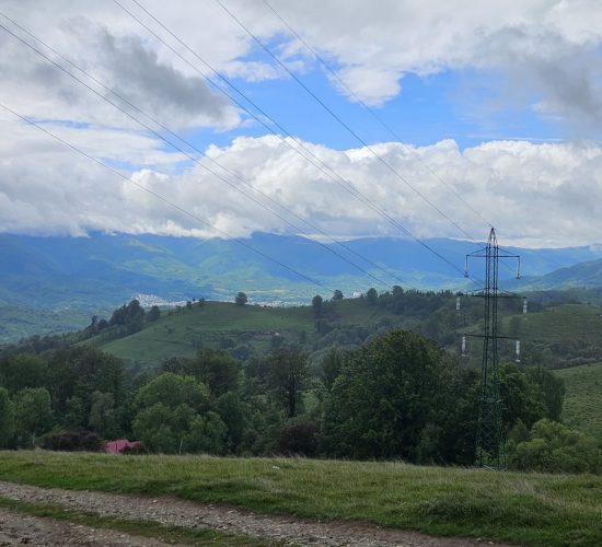 WhatsApp Image 2025-06-10 at 15.00.18